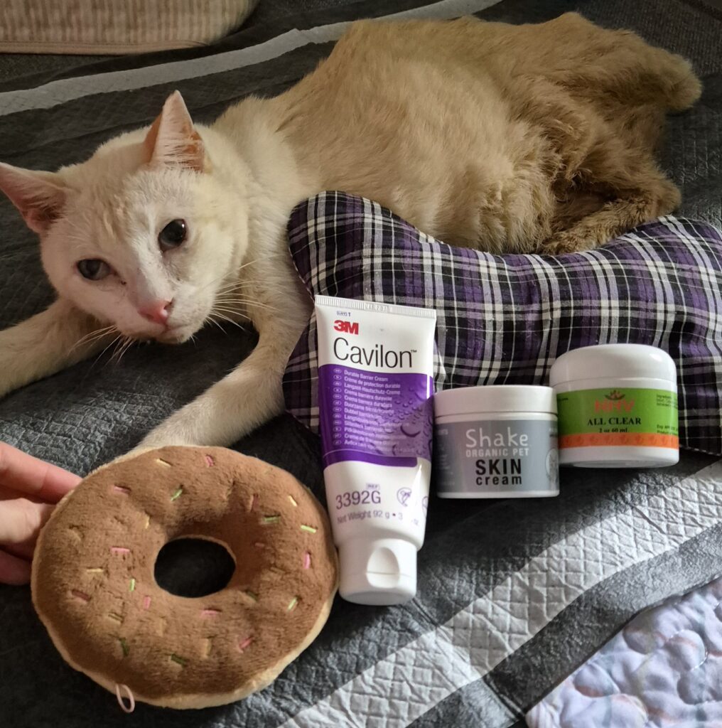 Late Bob with his favourite donut toy and creams